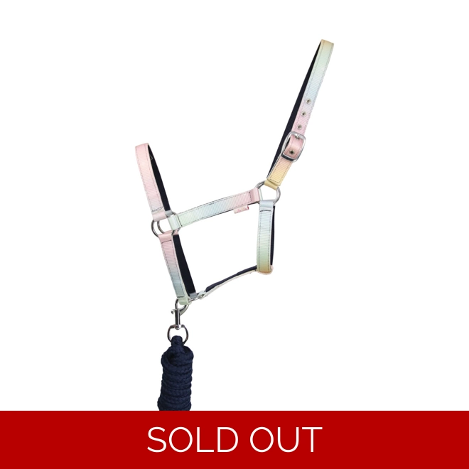 product Image for Dazzling Dream Head Collar & Lead Rope Set by Little Rider - Navy/Pastel